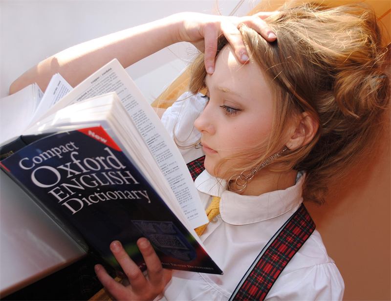 Student reading an English dictionary
